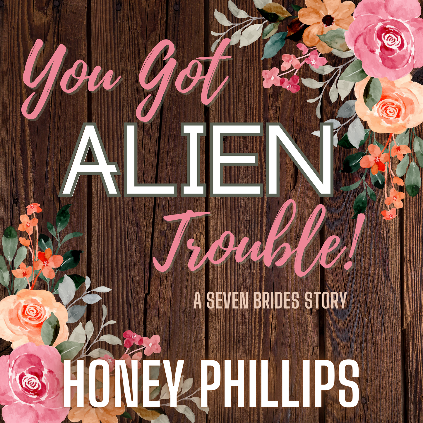 You Got Alien Trouble! AUDIO BOOK